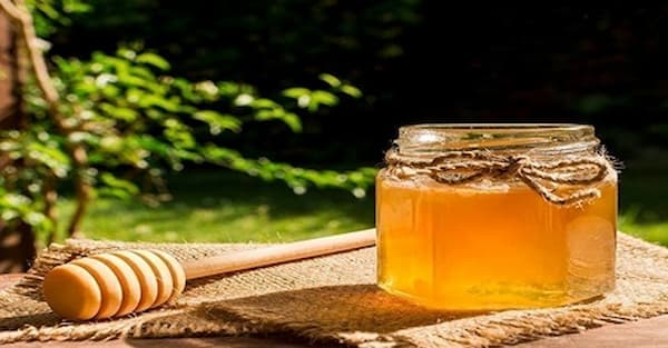 تصویر 1 از خرید جدیدترین انواع خرید و قیمت عسل گل گون